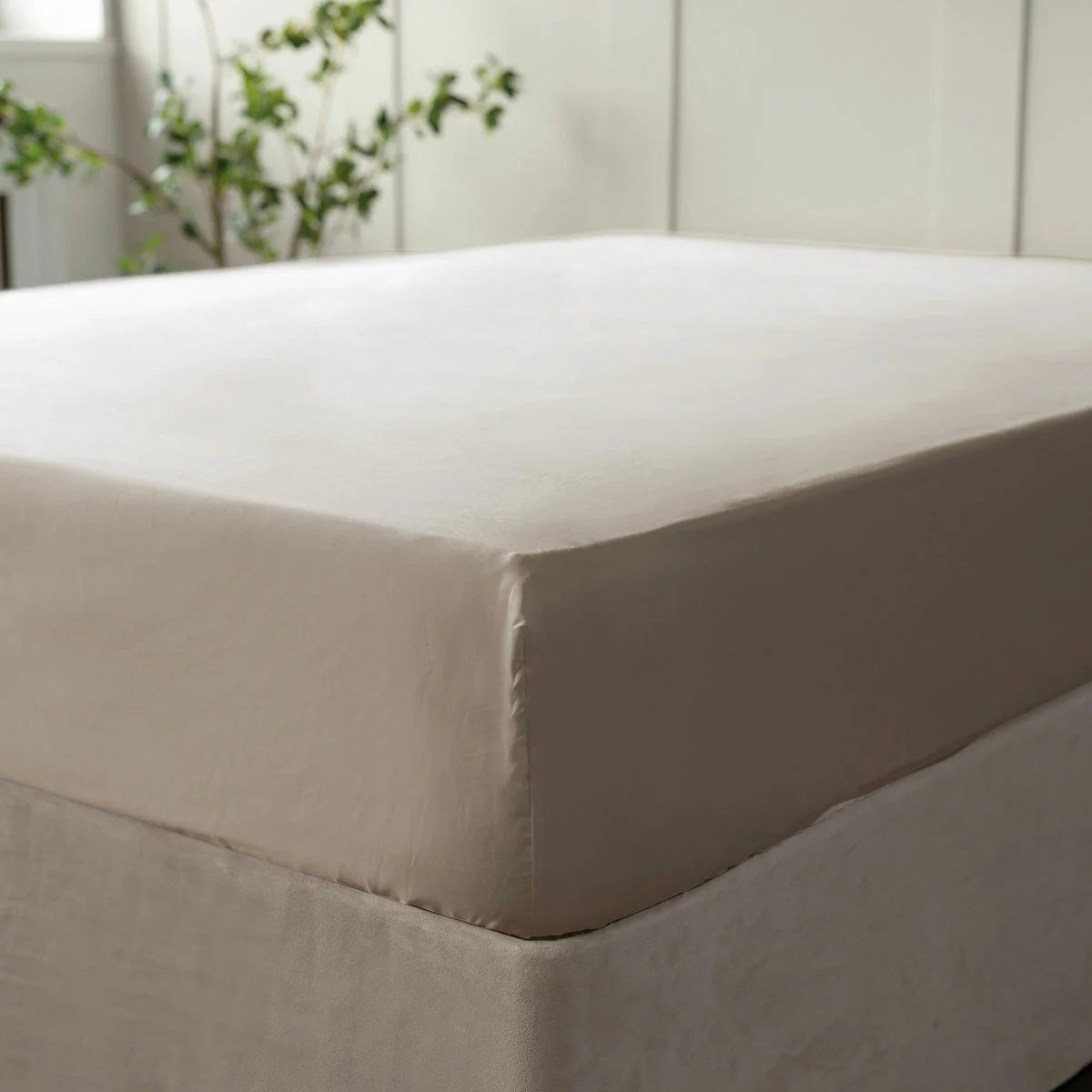 A side perspective of the taupe Belledorm 600 thread count Egyptian cotton fitted sheet stretched tightly over a thick mattress in a modern bedroom setting.