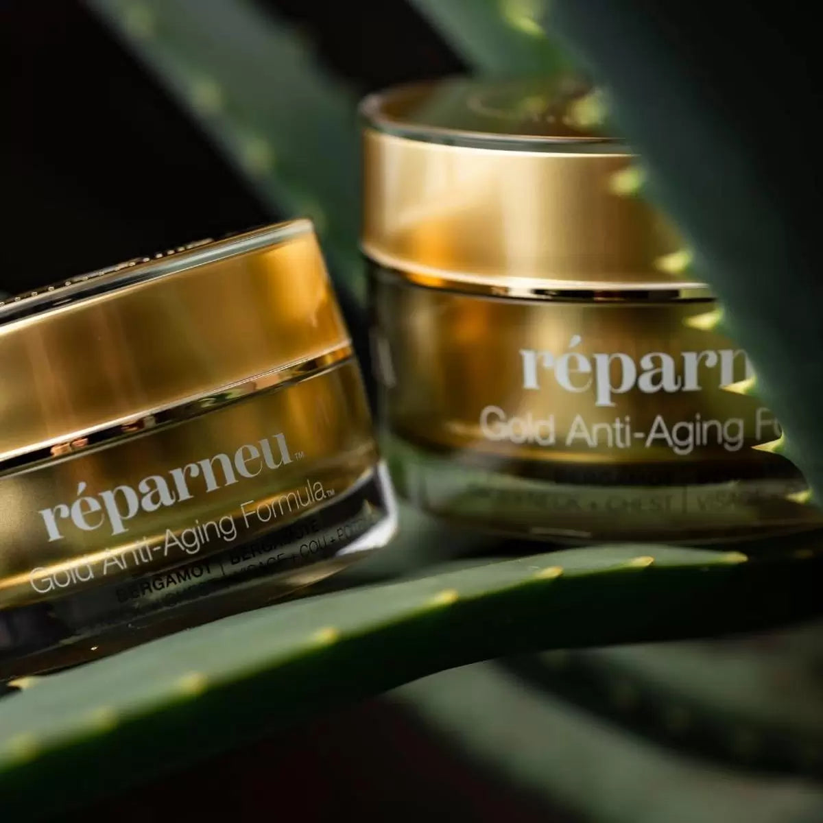 Five containers of InfiniteAloe Gold anti-aging cream and skin polish arranged on a clean white surface with natural light highlighting the premium packaging.