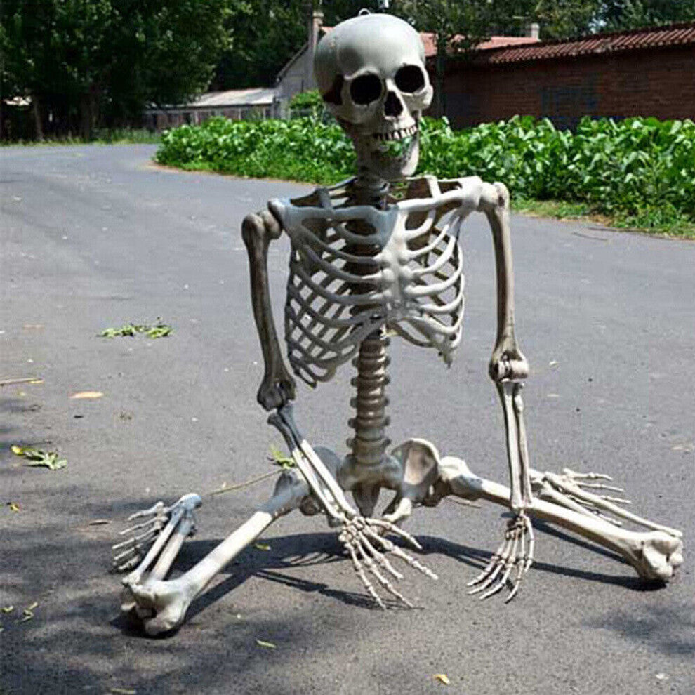 Full-length 170cm life-size realistic white plastic posable human skeleton standing against a dark wall setup.