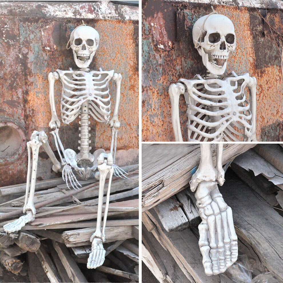Full-length 170cm life-size realistic white plastic posable human skeleton standing against a dark wall setup.