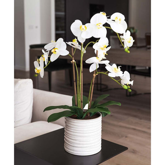 CG Hunter artificial orchid in ribbed ceramic pot, 67.5 cm
