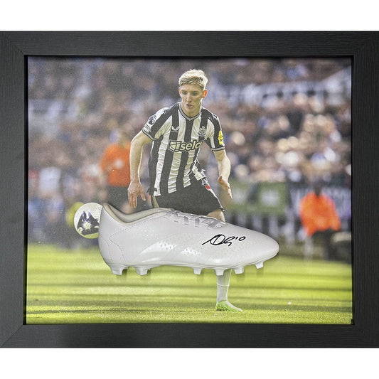 Allstarsignings Anthony Gordon Signed Framed Adidas Football Boot