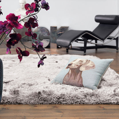Asiatic Plush Silver shaggy rug 160 x 230 cm, 75 mm pile