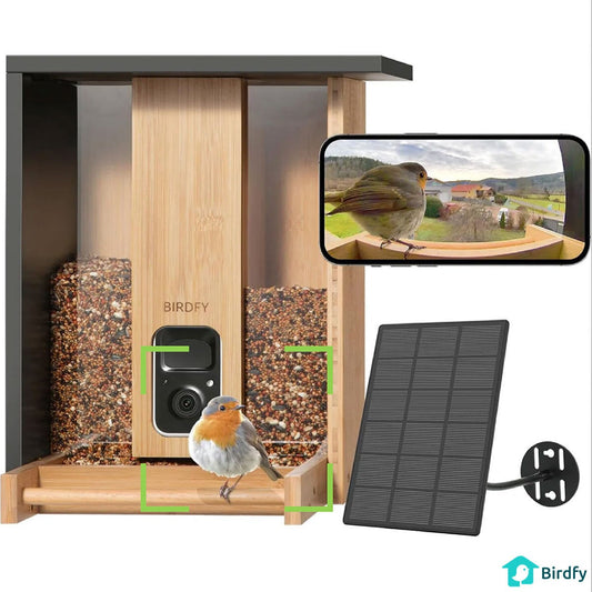 Birdfy Bamboo smart bird feeder with 1080p camera and solar panel, 3L