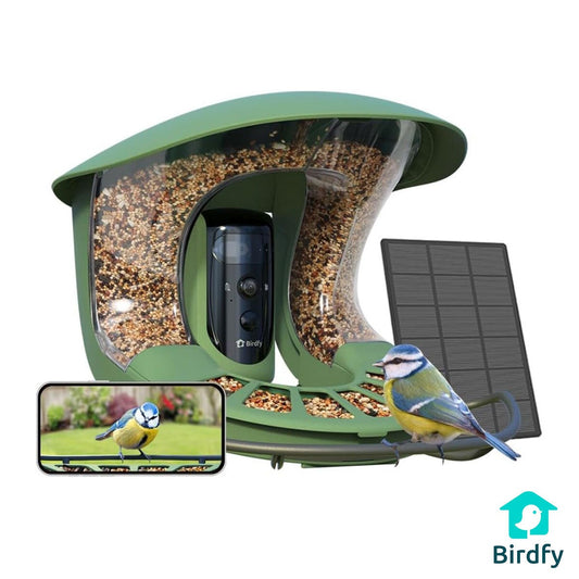 Birdfy Feeder 2 Pro green smart bird feeder with camera, solar panel and blue tit