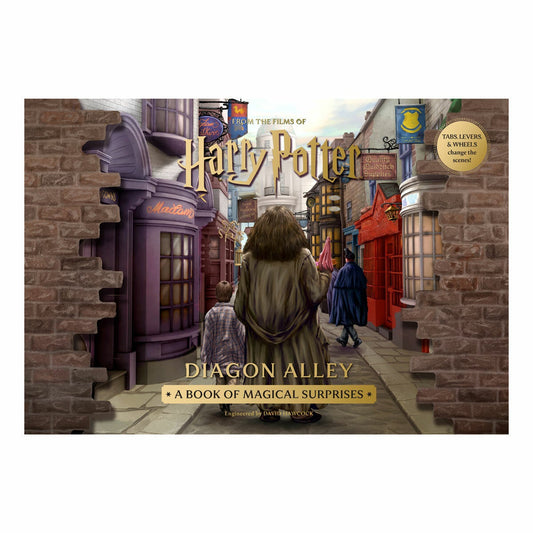 Harry Potter Diagon Alley pop-up book hardback by David Hawcock