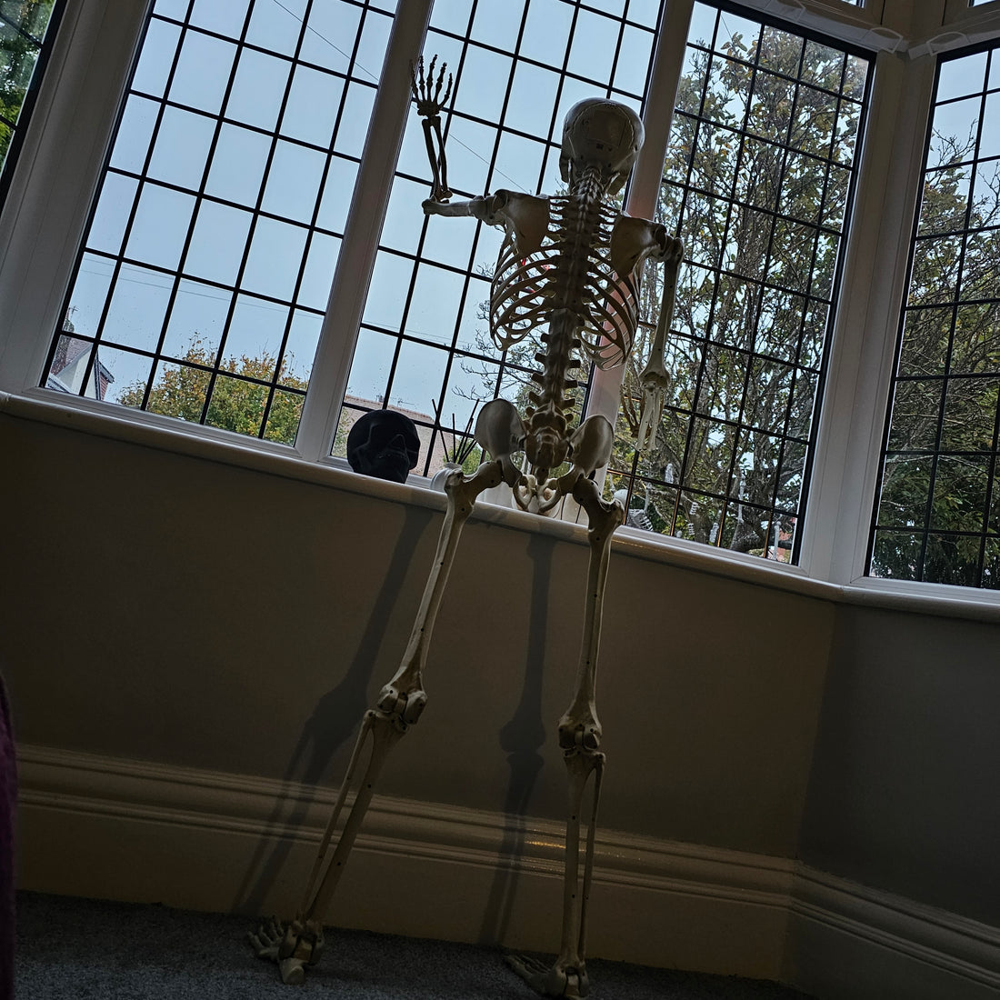 Full-length front view of a 5ft distressed white LED skeleton decoration with glowing red eyes, posed against a dark backdrop.