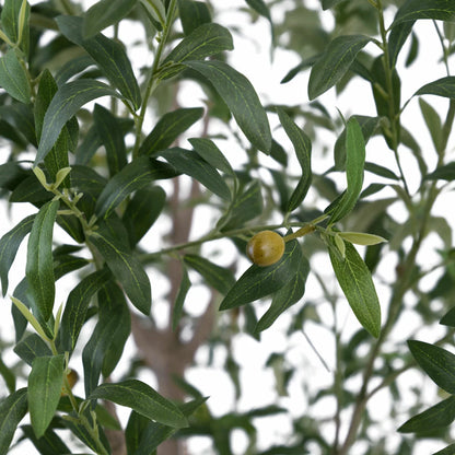 An 8ft artificial olive tree with realistic silvery-green leaves and a hand-painted trunk, potted in a modern white planter and positioned in a sunlit, minimalist living room.