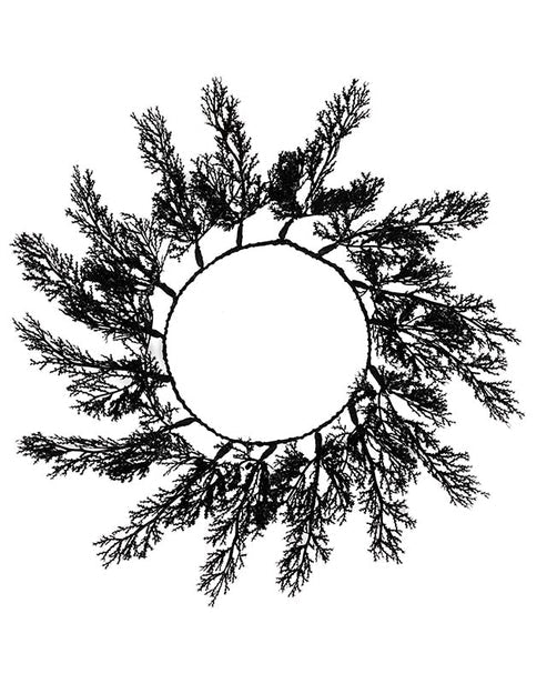 Flat lay view of four rectangular black foliage pattern placemats arranged neatly on a light oak wooden dining table.