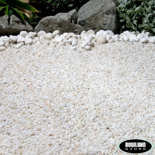 A close-up texture shot of 8-11mm white marble pebbles glistening under bright sunlight, showing a clean, high-contrast garden border setting.