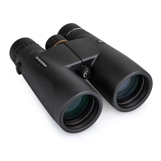 Matte black Celestron Nature DX 12x50mm binoculars resting on a damp wooden bench in a misty forest setting, showcasing the rugged rubber armoring and large objective lenses.