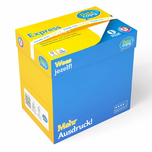 Data Copy ECF A4 100gsm paper box with 2500 sheets for premium office printing and copying