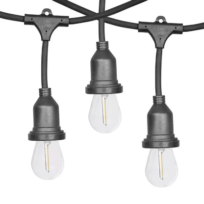 A set of heavy-duty Feit S14 replacement LED bulbs displaying their gold-toned vintage style filaments, arranged in a protective 24-pack box on a dark wooden work surface.