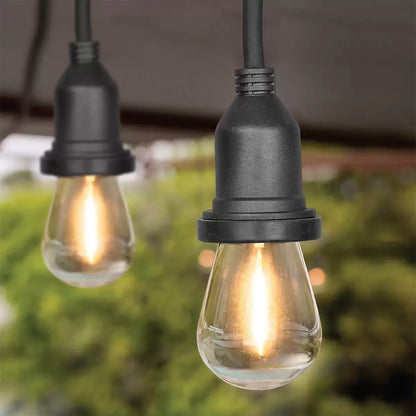 A set of heavy-duty Feit S14 replacement LED bulbs displaying their gold-toned vintage style filaments, arranged in a protective 24-pack box on a dark wooden work surface.
