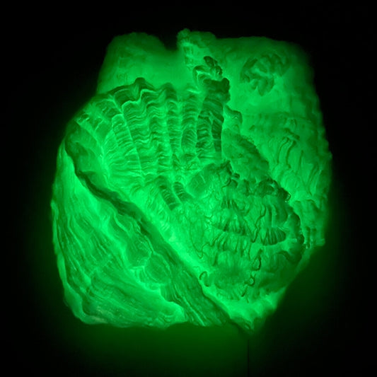 Close-up of 100g green fluorescent glow-in-the-dark spider web stretched across dark tree branches outdoors at night.