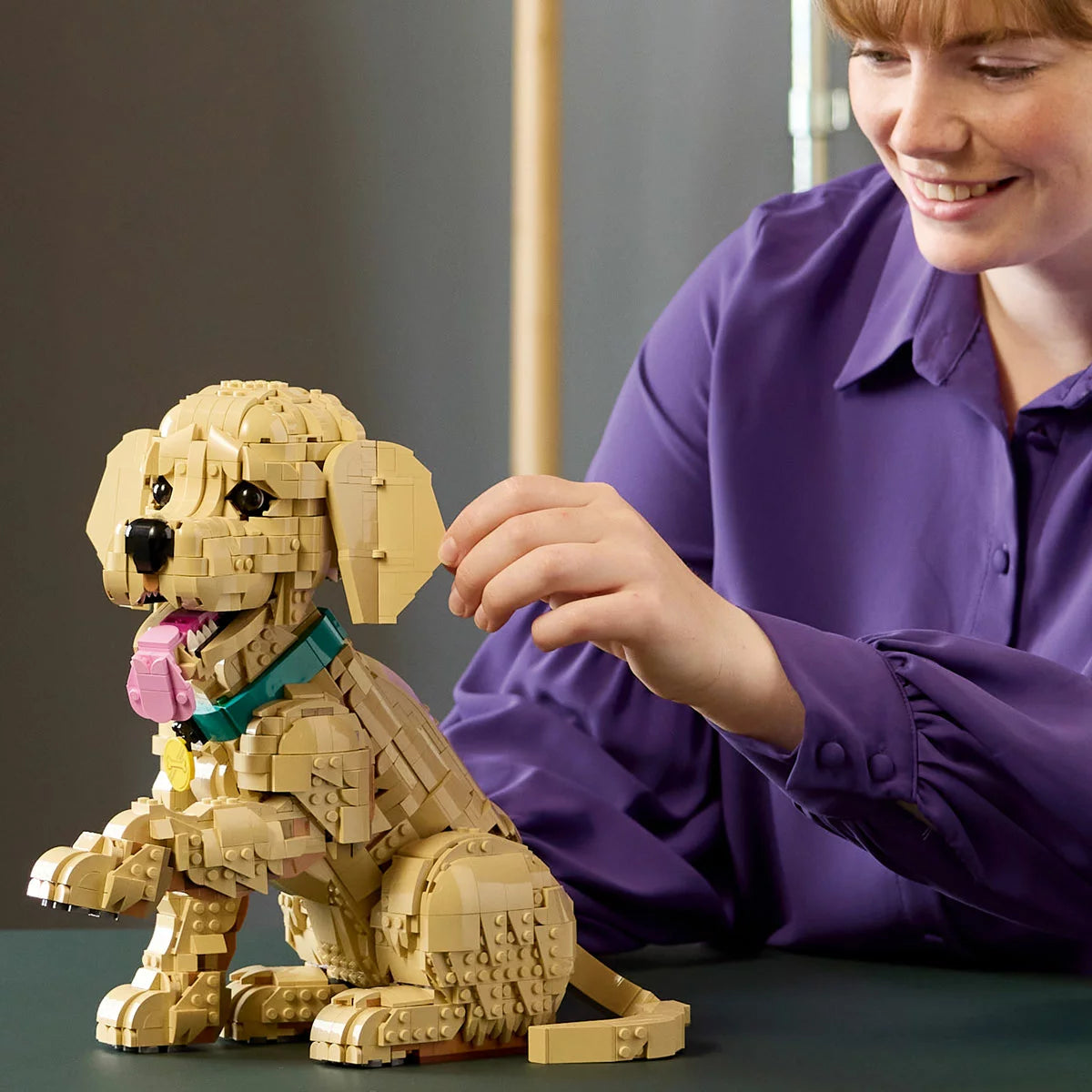 Three-quarter studio view of the built LEGO Icons 11384 honey-gold retriever puppy figure featuring a raised front paw, tilted head, and blue collar.