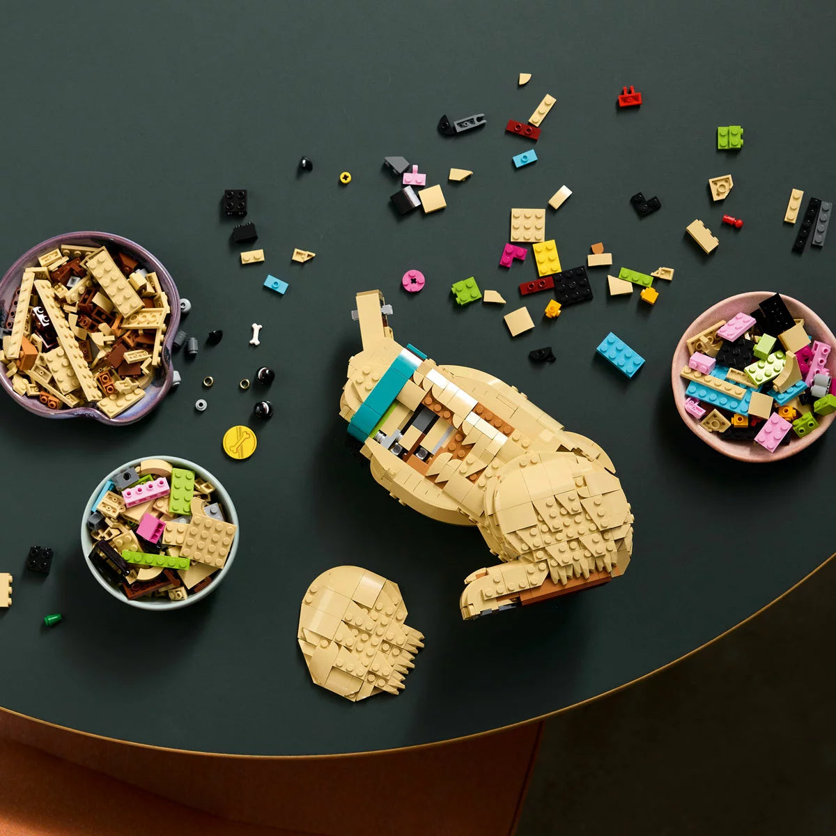 Three-quarter studio view of the built LEGO Icons 11384 honey-gold retriever puppy figure featuring a raised front paw, tilted head, and blue collar.