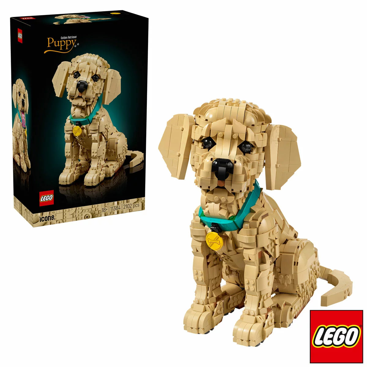 Three-quarter studio view of the built LEGO Icons 11384 honey-gold retriever puppy figure featuring a raised front paw, tilted head, and blue collar.