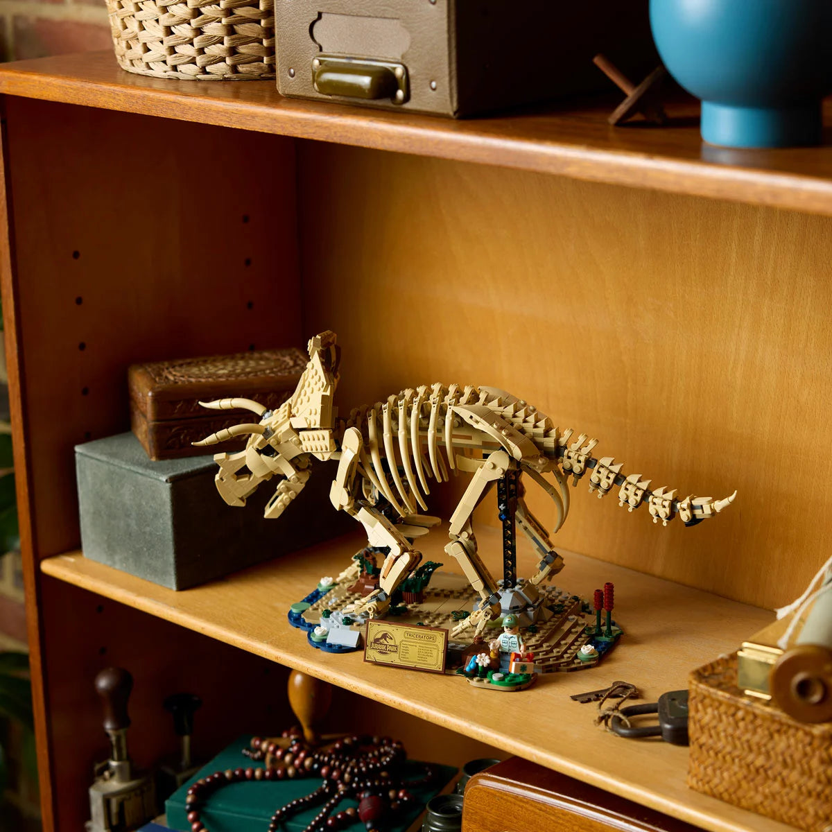 Side profile of the LEGO Jurassic World Triceratops Fossil 77985 skeletal model standing on a Cretaceous display base with ancient plants, an info plaque, and a Dr. Gerry Harding minifigure against a neutral dark backdrop.