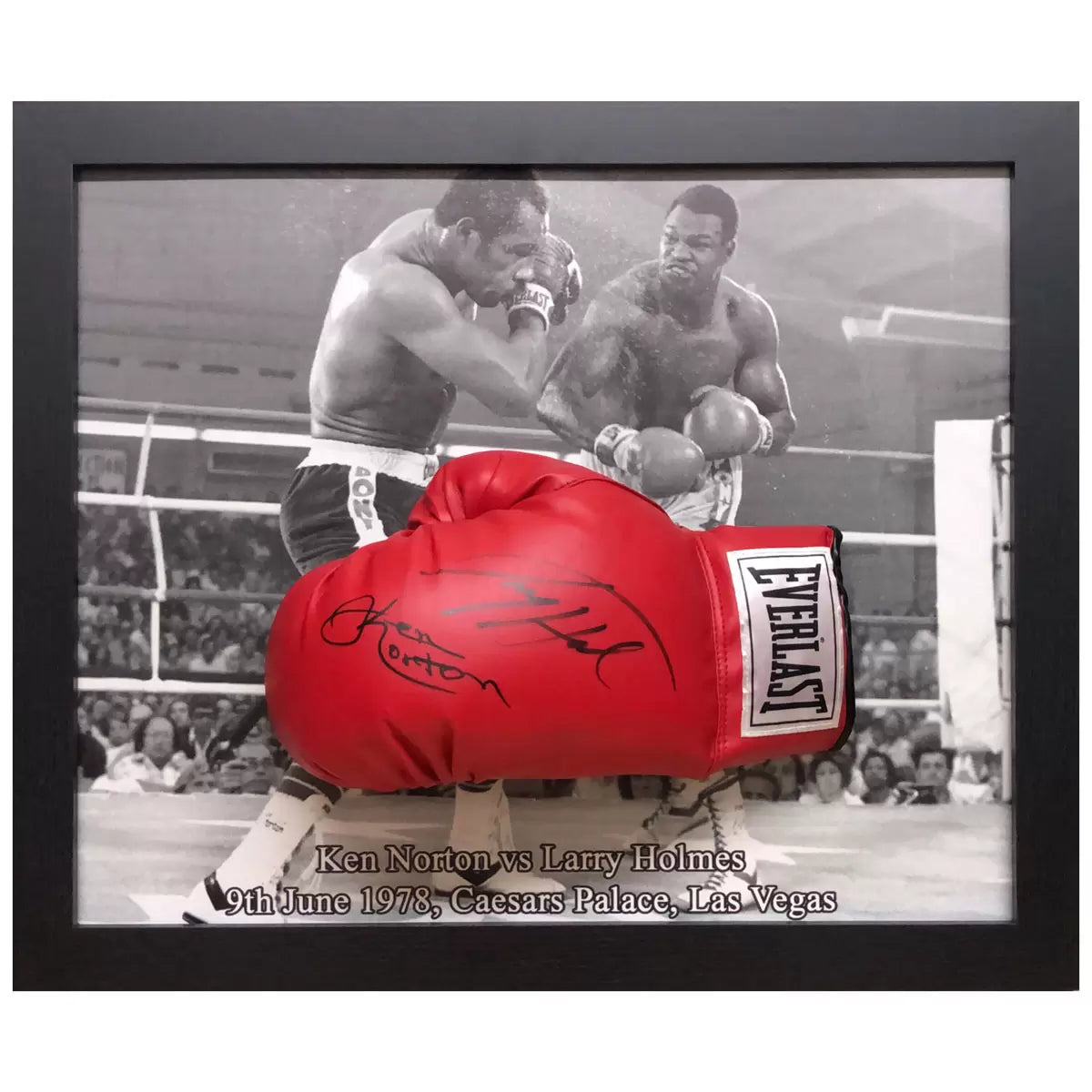 A professionally framed, dual-signed Everlast boxing glove with a dark, sophisticated mount, captured in a high-resolution studio shot to emphasize the signature detail.