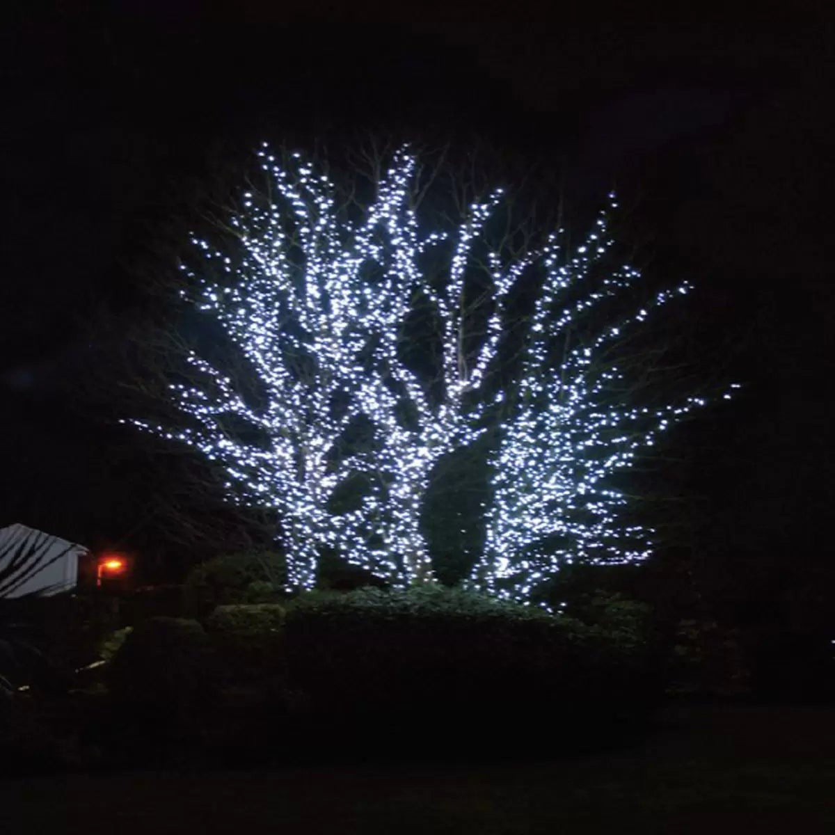 Close-up of bright ice white LED bulbs on a dark green rubber cable strung across a dark outdoor patio garden at night.
