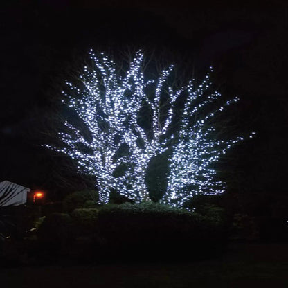 Close-up of bright ice white LED bulbs on a dark green rubber cable strung across a dark outdoor patio garden at night.