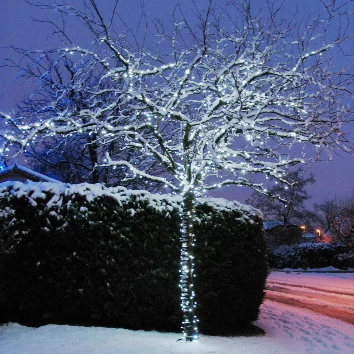 Close-up of bright ice white LED bulbs on a dark green rubber cable strung across a dark outdoor patio garden at night.