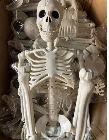 Front view of a 90cm full-body bone white posable plastic Halloween skeleton prop sitting upright on a white background.