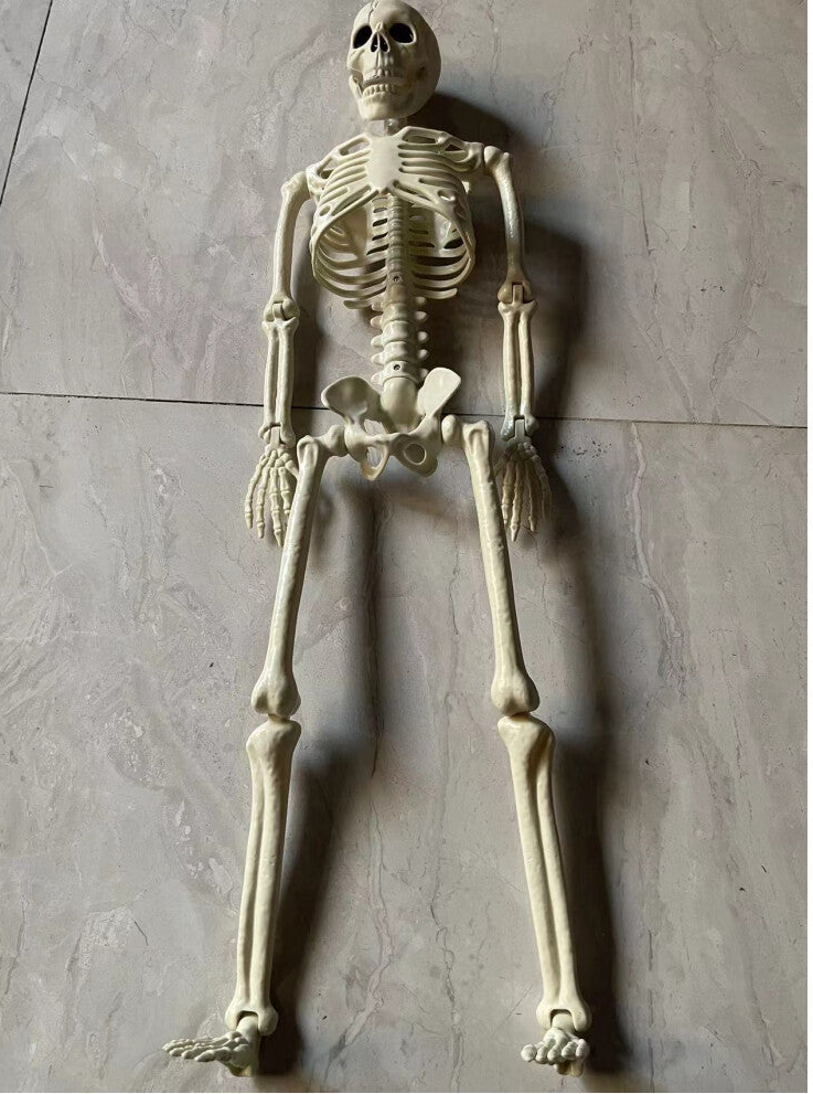 Front view of a 90cm full-body bone white posable plastic Halloween skeleton prop sitting upright on a white background.