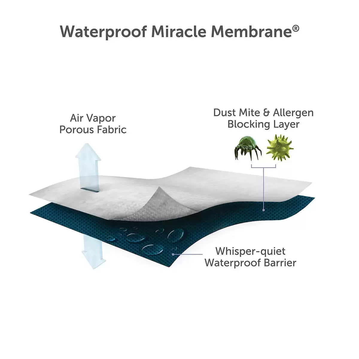 White Protect-A-Bed Tencel Cool Pillow Protector 2 Pack lying on a bed showcasing the smooth fabric texture, mesh side vent, and zipper closure.