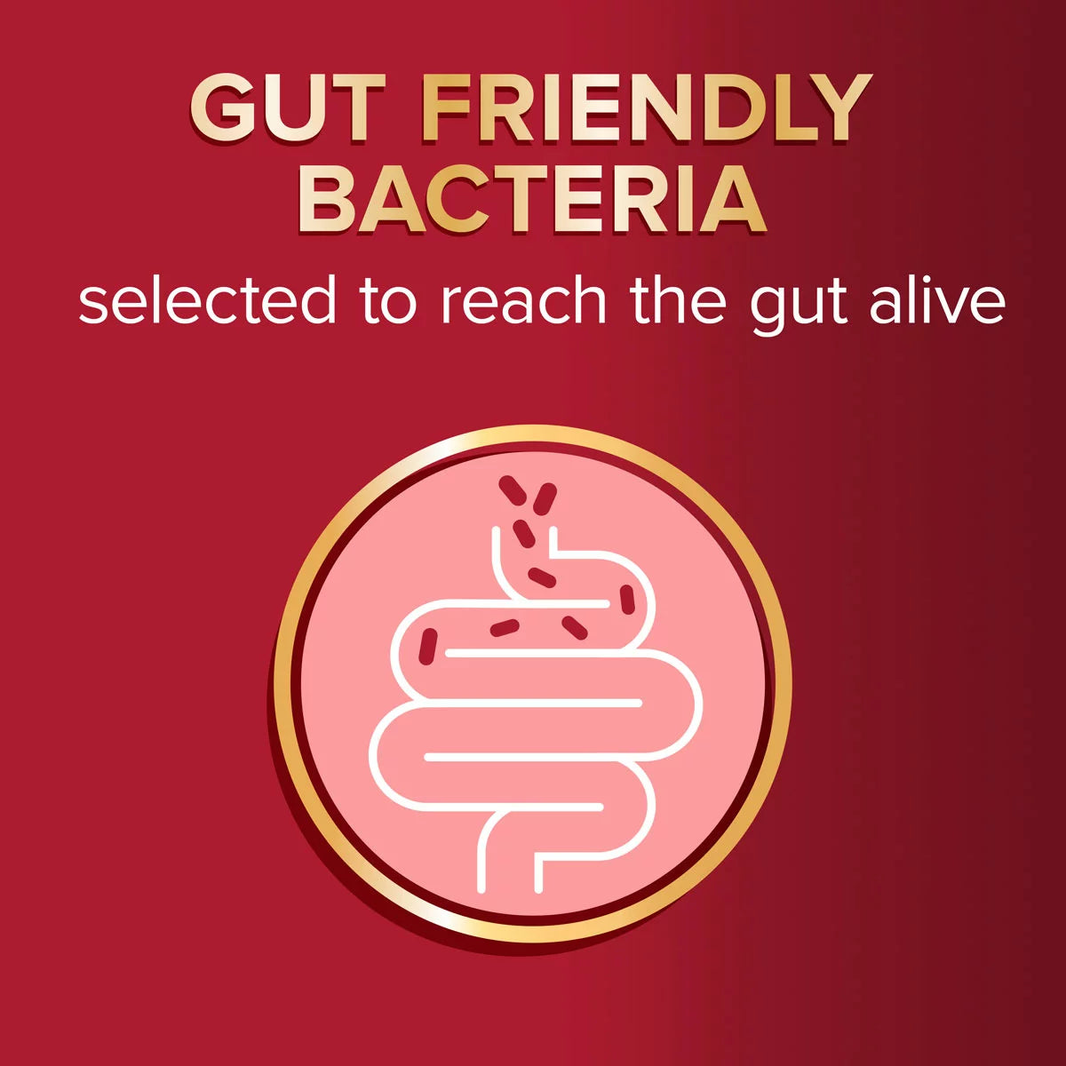 Seven Seas Omega 3 and Gut Friendly Bacteria 3 x 30 count supplement for heart health digestive wellness and daily nutrition support