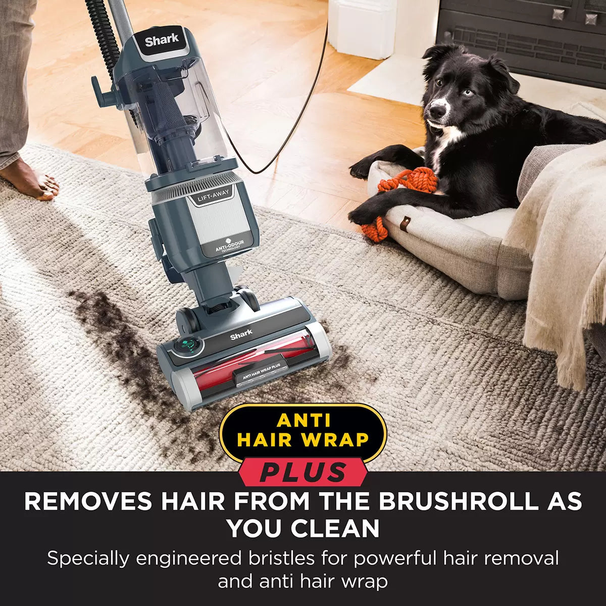 Front view of the Navy Shark Anti Hair Wrap Plus upright pet vacuum standing upright on light wood flooring in a modern living room setting.