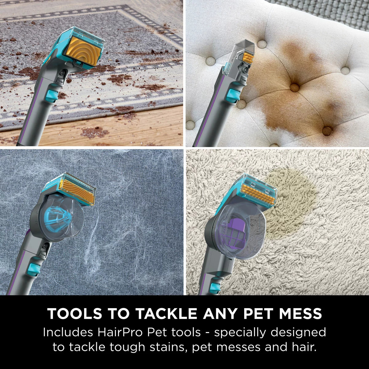 Front view of the white and deep navy Shark StainStriker HairPro PX250UKT spot cleaner sitting on a beige living room rug beside its attached hose and pet hair extraction tool.