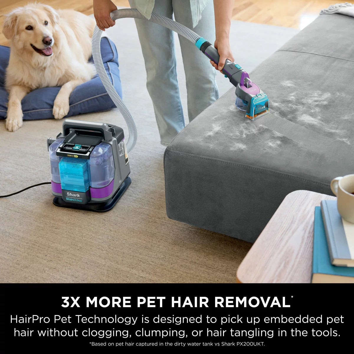Front view of the white and deep navy Shark StainStriker HairPro PX250UKT spot cleaner sitting on a beige living room rug beside its attached hose and pet hair extraction tool.