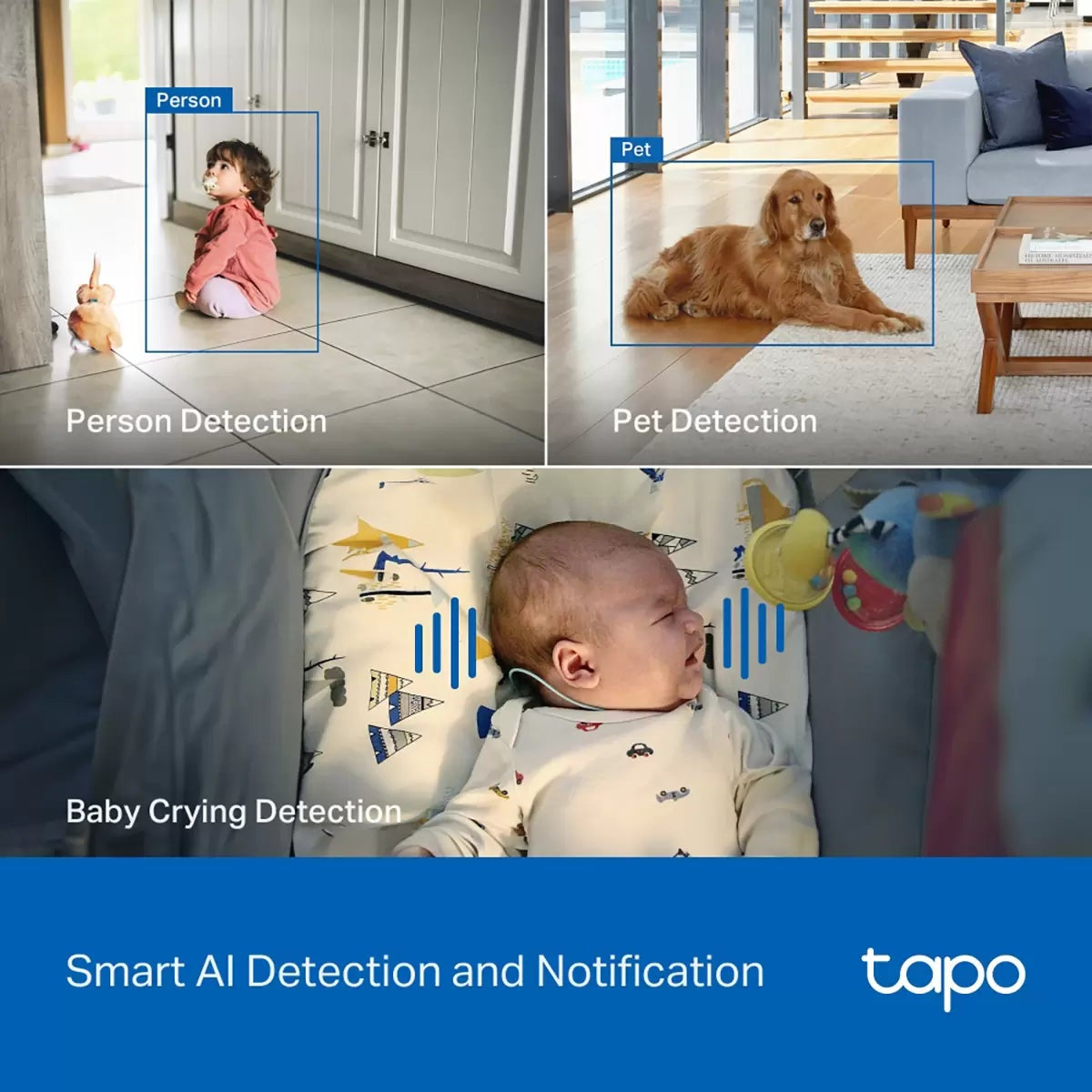 Pair of white TP-Link Tapo C260 4K pan-tilt smart indoor cameras featuring black central lenses with integrated starlight sensors.