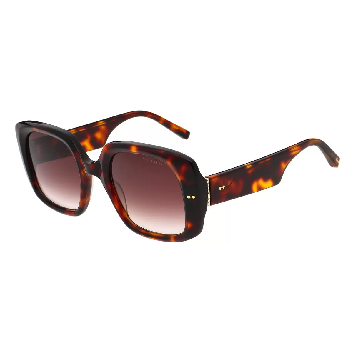 Side profile of the Ted Baker TB1730 100 sunglasses featuring a polished frame finish, captured under natural light to highlight the lens tint and material texture.