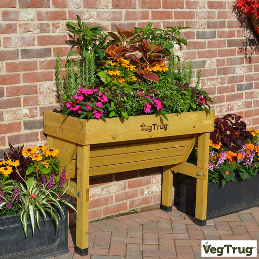 A 1m VegTrug Wall Hugger planter made of natural cedar wood sitting flush against a brick wall on a narrow balcony.