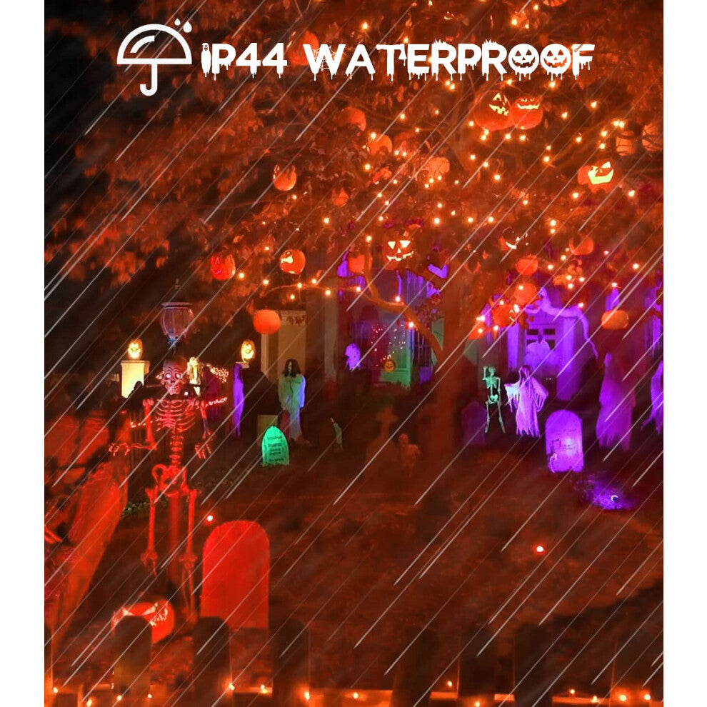 A 9.8ft strand of 30 orange LED fall fairy lights glowing brightly against an autumn-themed indoor wall backdrop.