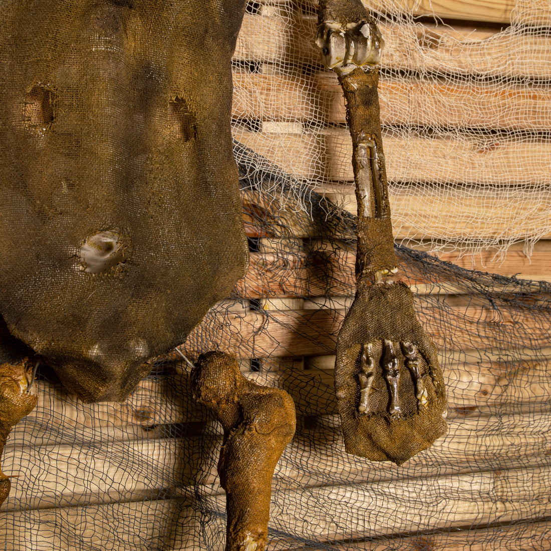 Front view of a 5ft tall brown mummified skeleton prop with posable joints and a distressed finish hanging against a dark background.