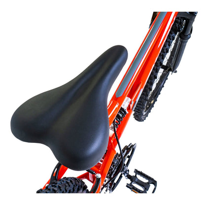Falcon Neutron 24 inch junior mountain bike red, view 4
