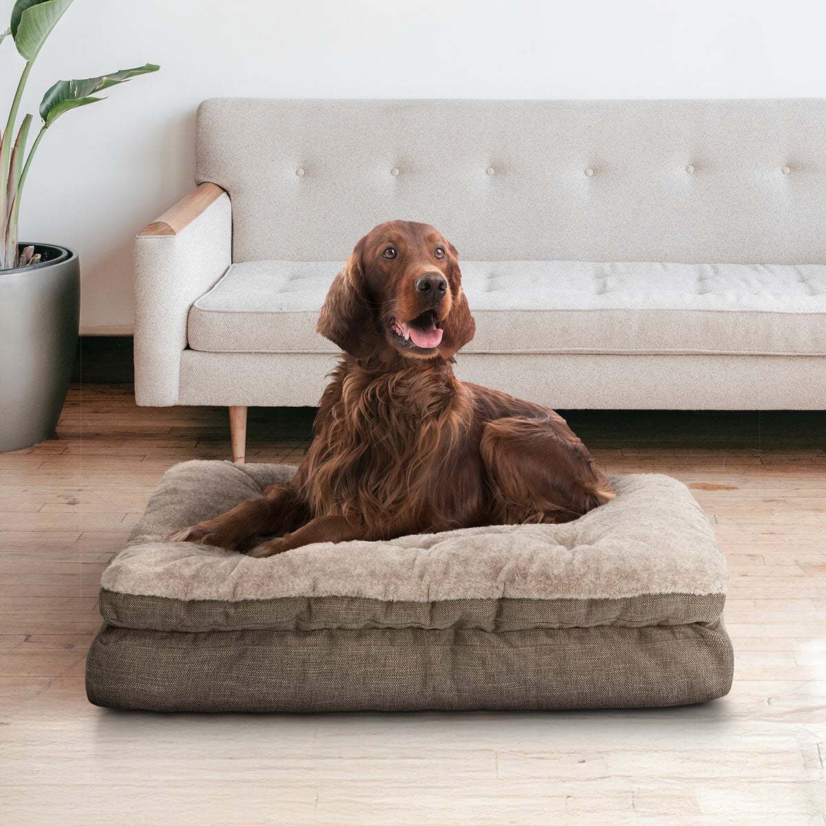 Kirkland Signature pillow top gusseted pet bed, main view