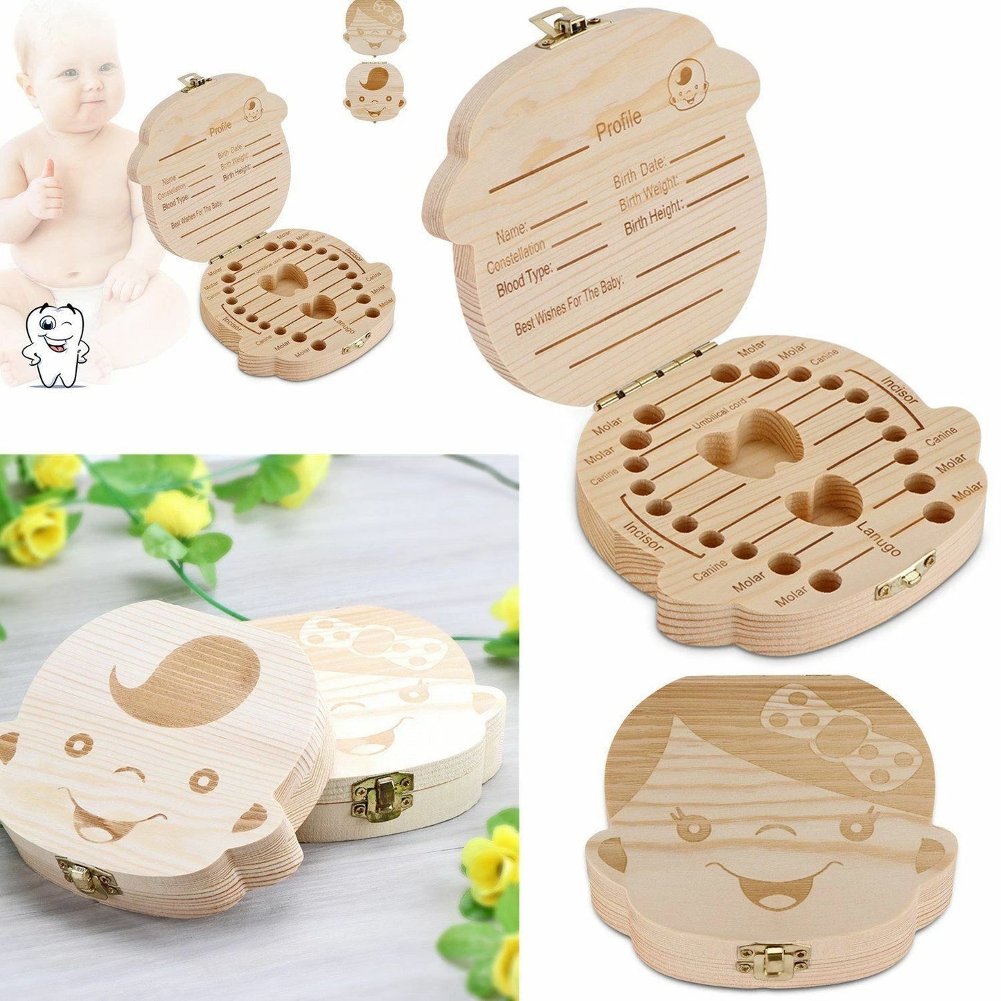 Wooden baby tooth storage keepsake box with labeled compartments for children’s milk teeth-3