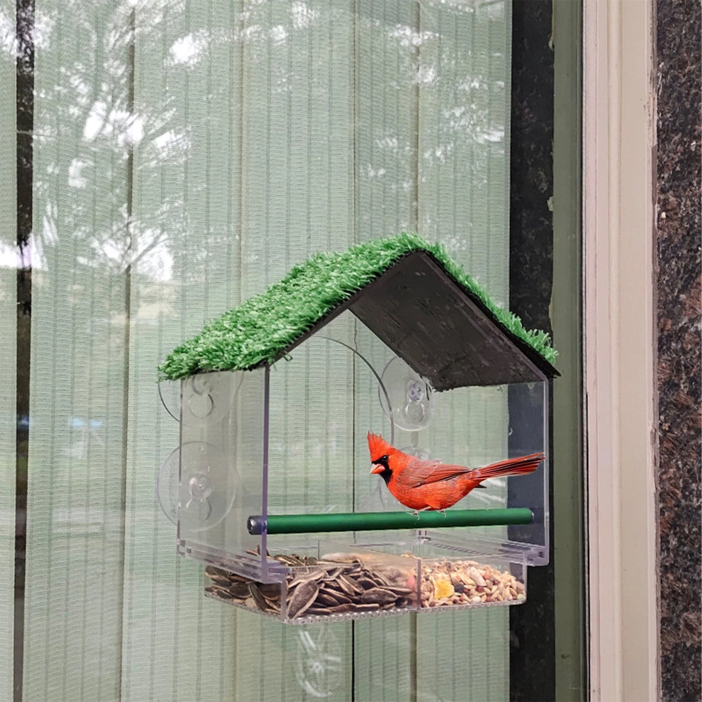 Clear perspex window bird feeder with suction cups for wild birds feeding and close-up bird watching from home-1