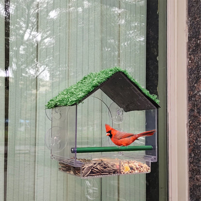 Clear perspex window bird feeder with suction cups for wild birds feeding and close-up bird watching from home-1