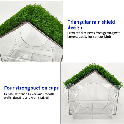 Clear perspex window bird feeder with suction cups for wild birds feeding and close-up bird watching from home-4