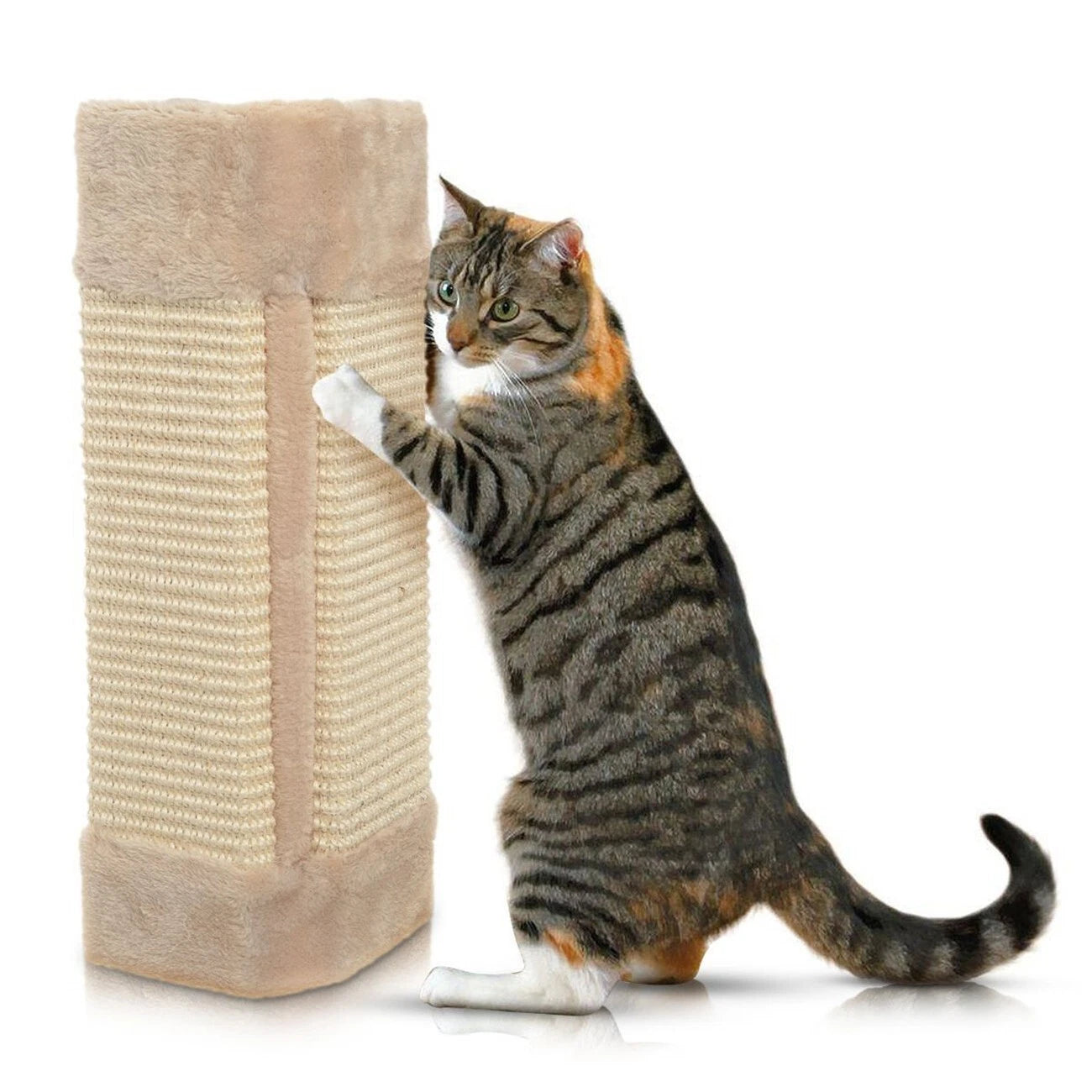 Natural sisal corner cat scratching post mounted on a white wall with a tabby cat scratching it-2