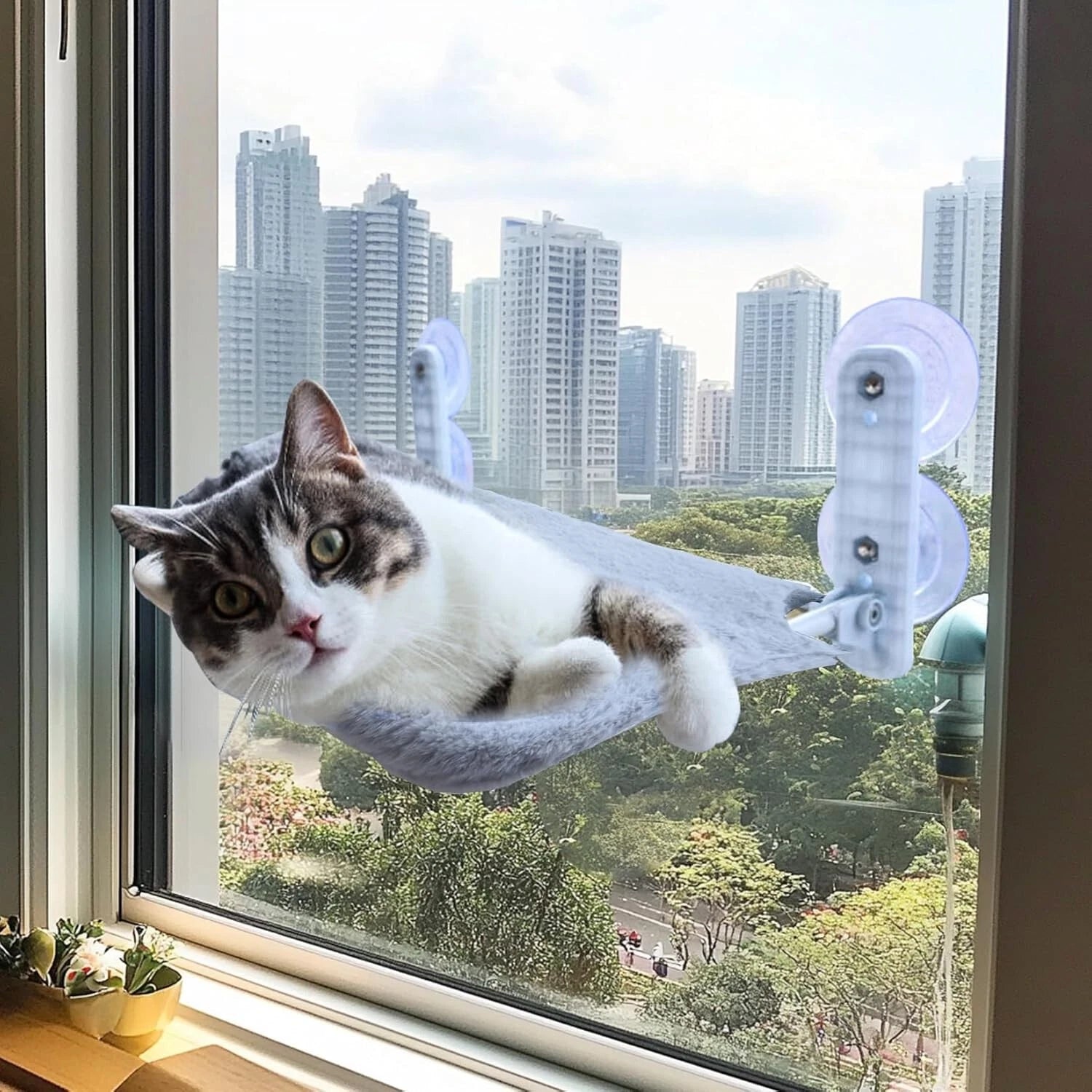 Orange tabby cat lounging on a folding window perch hammock bed attached to a glass window with 4 suction cups-3