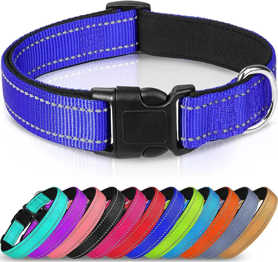 Reflective Breathable Neoprene Dog Collar Lead | Adjustable Padded Leash | Best For Safe Daily Dog Walking