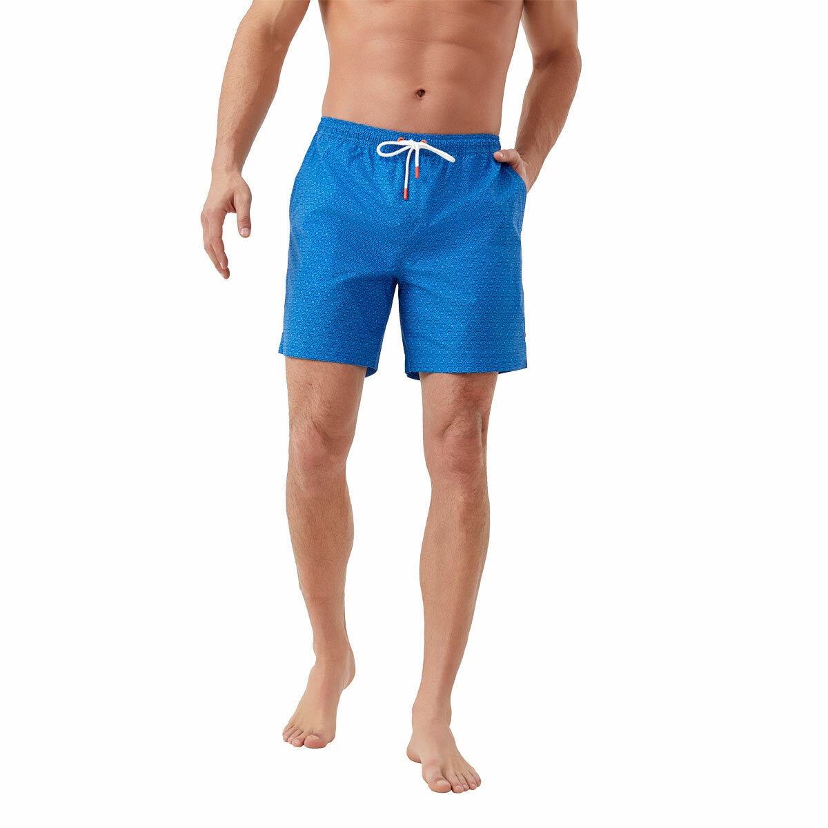 Swims men's swim shorts, view 2